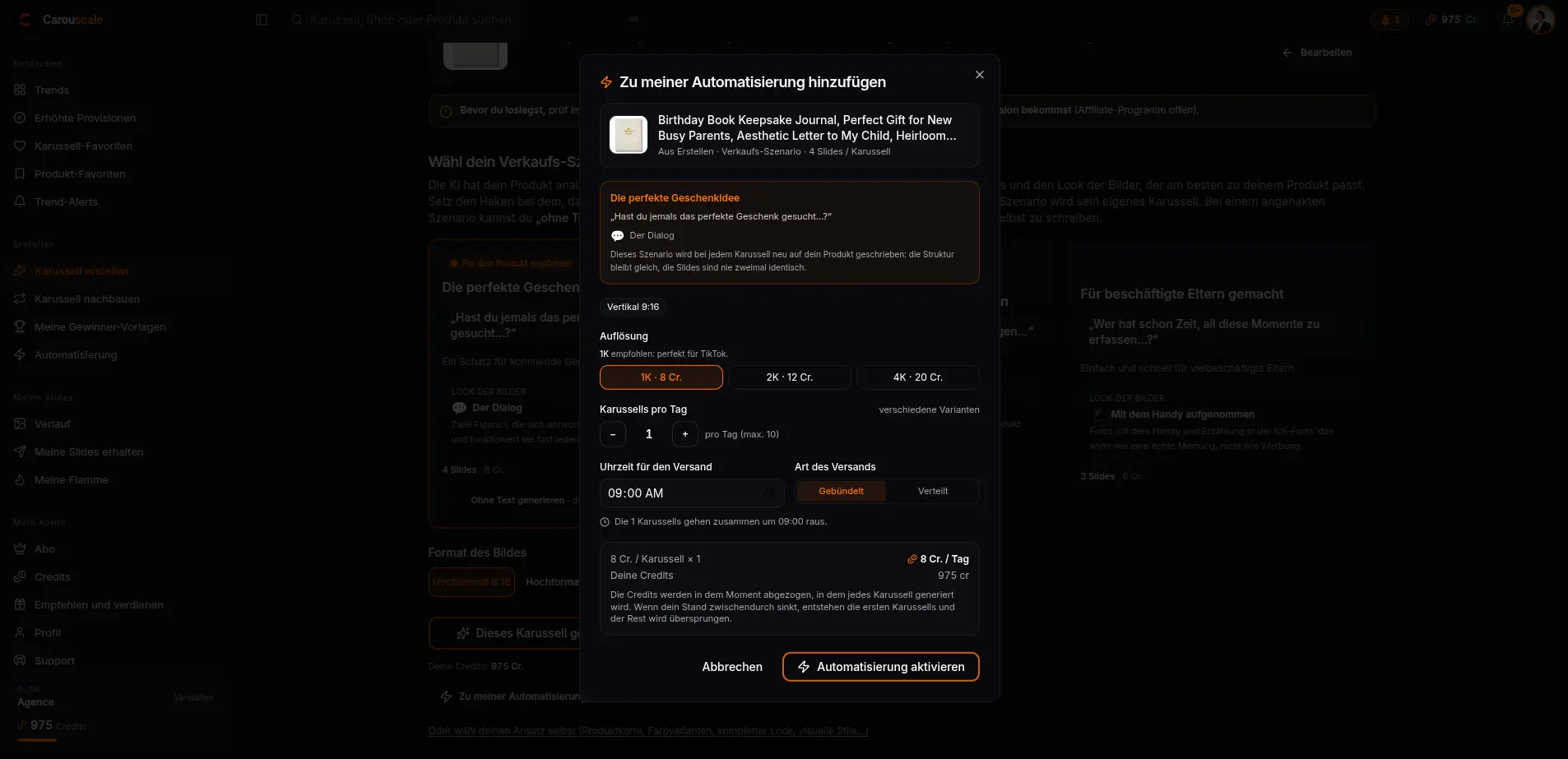 Die Konfiguration einer Automatisierung: Auflösung, Karussells pro Tag, Versandzeit, gebündelte oder verteilte Lieferung