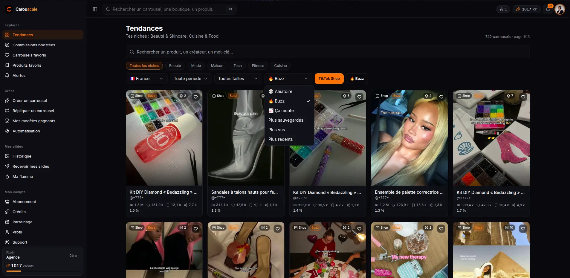 Les filtres par niche et les tris par vues ou vitesse de montée des tendances Carouscale